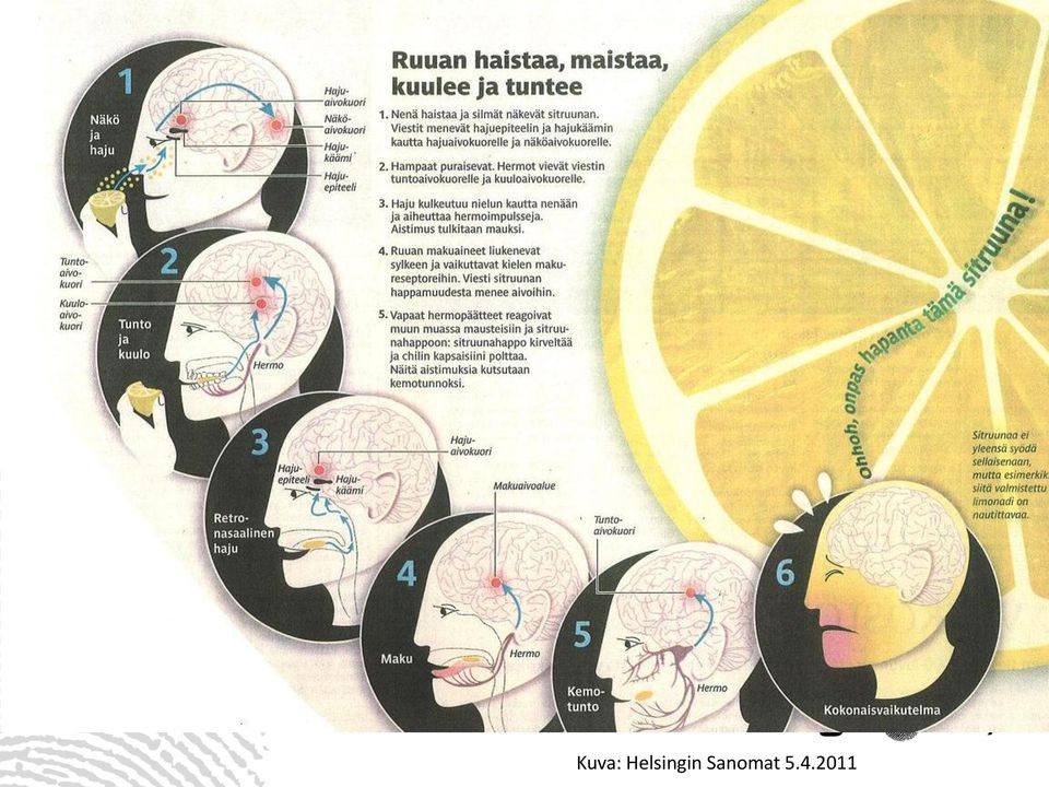 Sanomat 5.