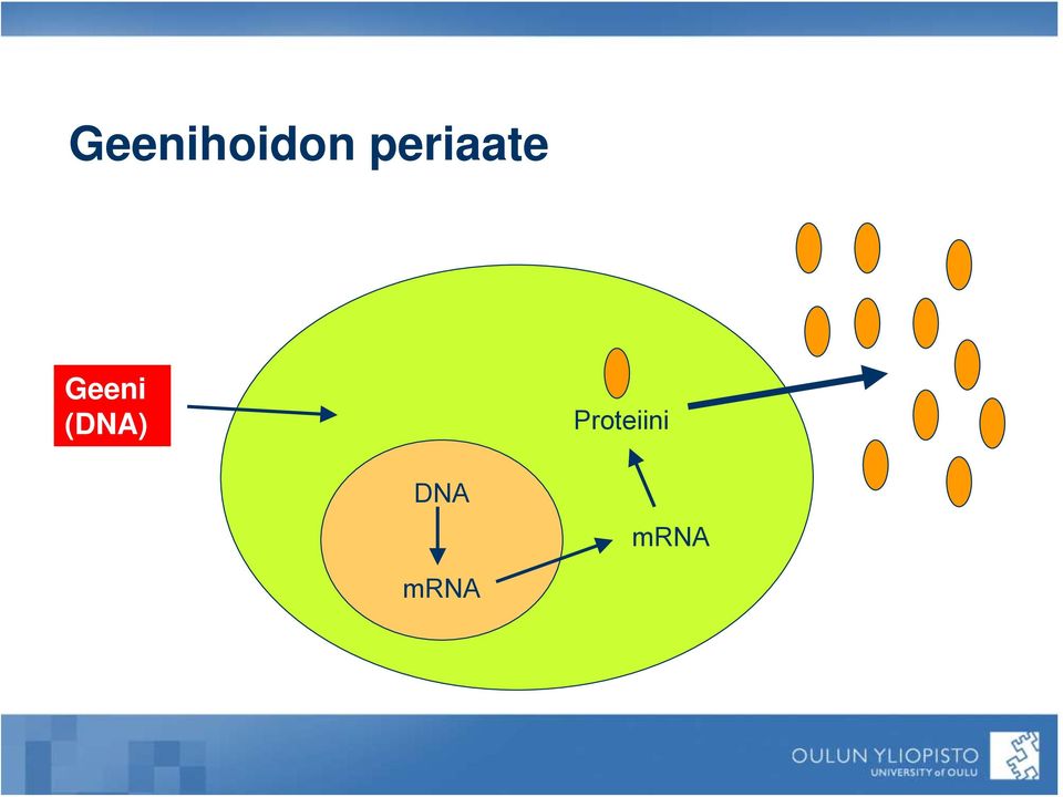 Geeni (DNA)