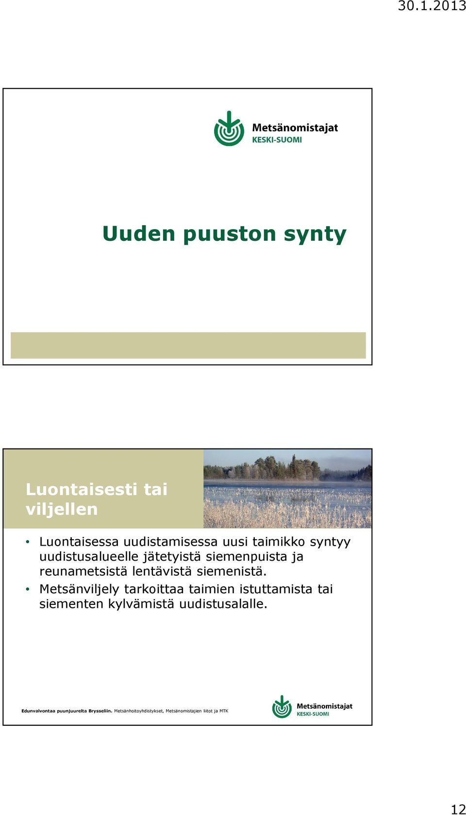 siemenpuista ja reunametsistä lentävistä siemenistä.