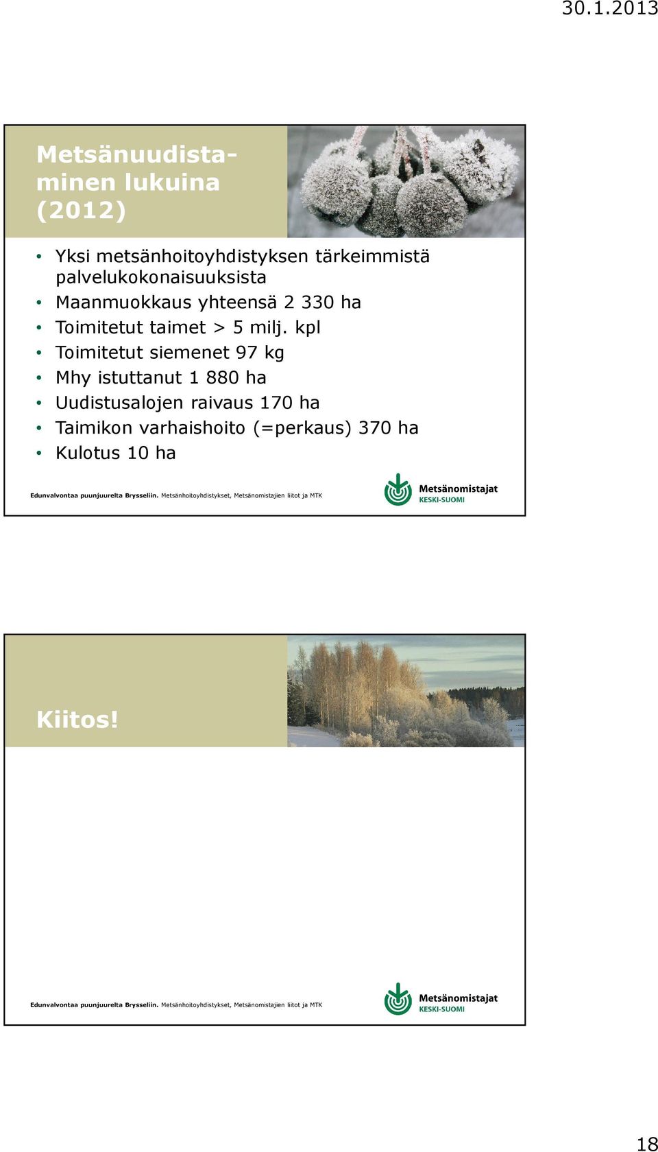 milj. kpl Toimitetut siemenet 97 kg Mhy istuttanut 1 880 ha Uudistusalojen