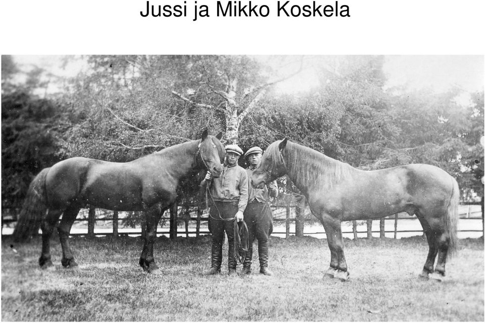 Koskela