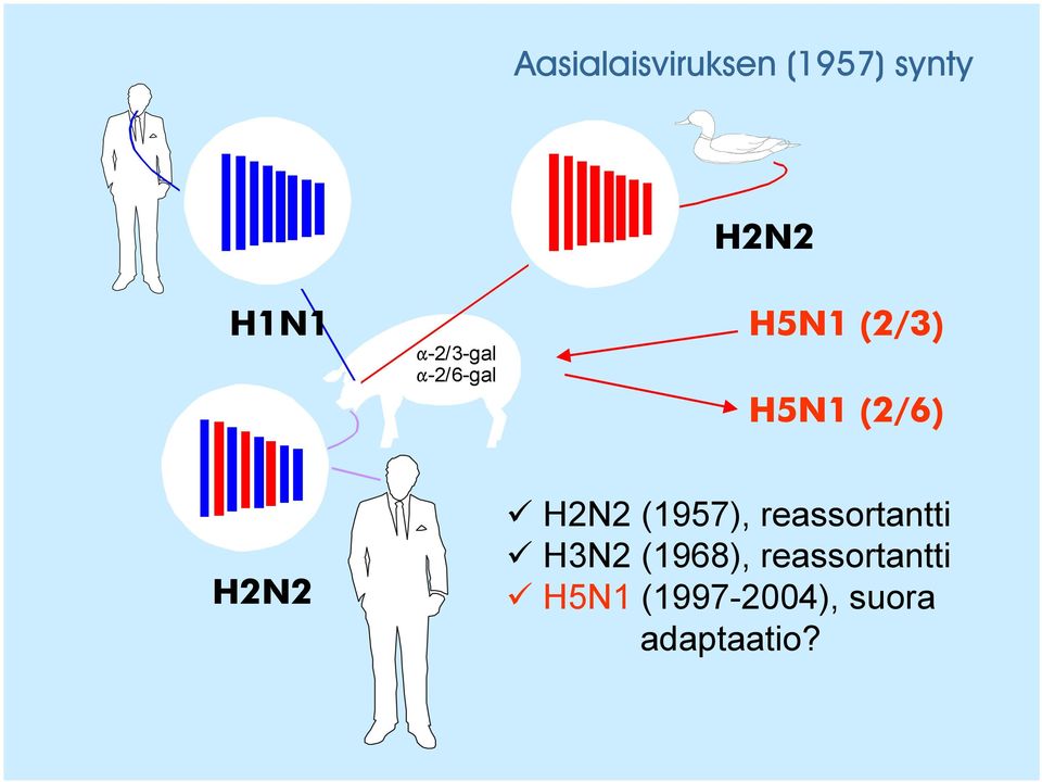 H2N2 H2N2 (1957), reassortantti H3N2 (1968),