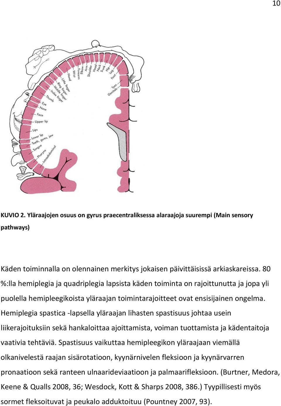 Hemiplegia spastica -lapsella yläraajan lihasten spastisuus johtaa usein liikerajoituksiin sekä hankaloittaa ajoittamista, voiman tuottamista ja kädentaitoja vaativia tehtäviä.