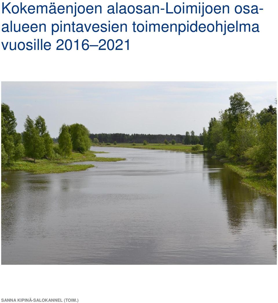toimenpideohjelma vuosille