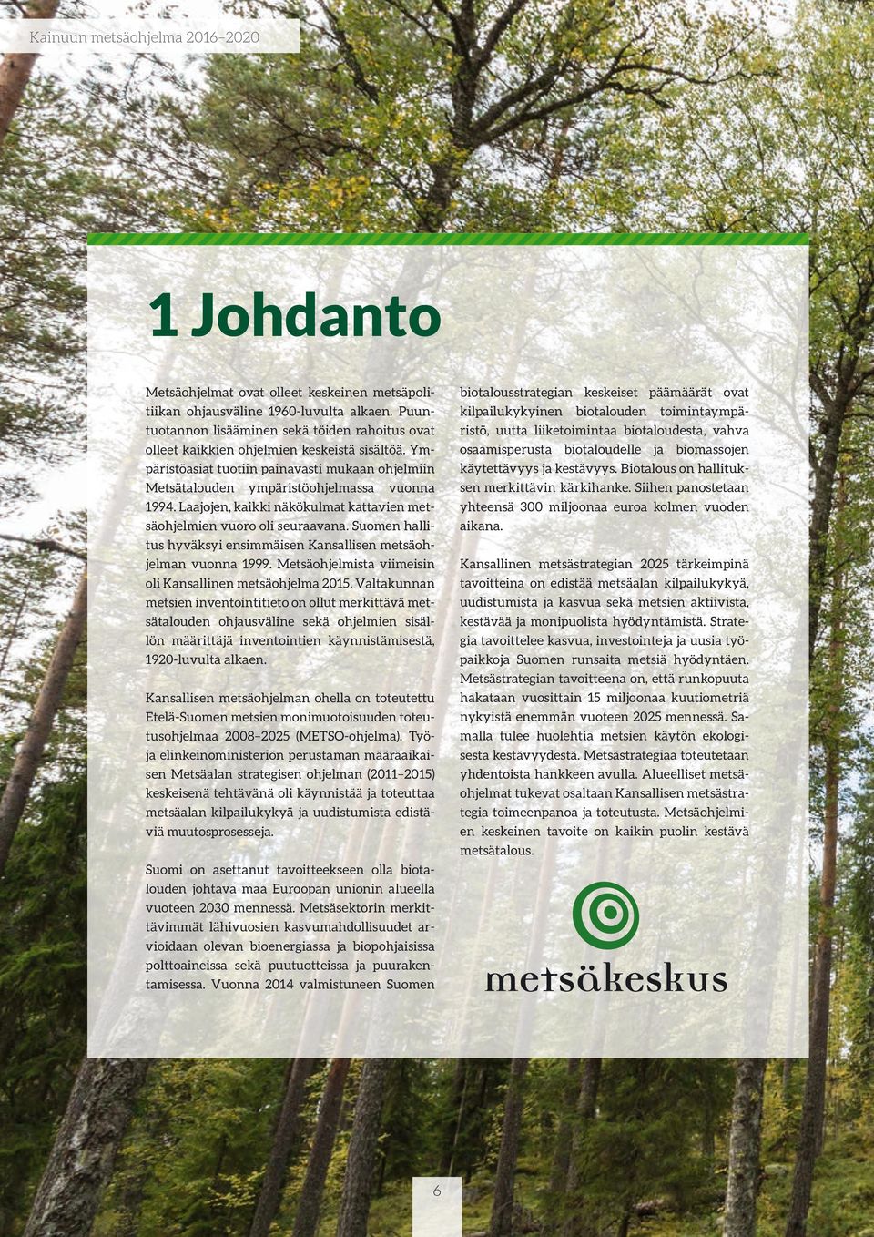 Suomen hallitus hyväksyi ensimmäisen Kansallisen metsäohjelman vuonna 1999. Metsäohjelmista viimeisin oli Kansallinen metsäohjelma 2015.