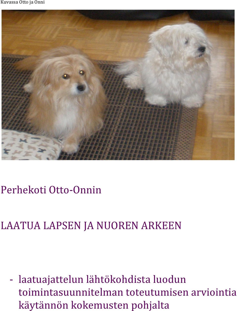 laatuajattelun lähtökohdista luodun