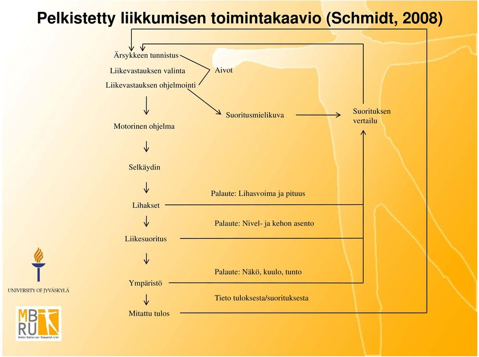 vertailu Selkäydin Lihakset Liikesuoritus Palaute: Lihasvoima ja pituus Palaute: Nivel- ja