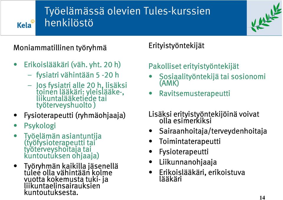 asiantuntija (työfysioterapeutti tai työterveyshoitaja tai kuntoutuksen ohjaaja) Työryhmän kaikilla jäsenellä tulee olla vähintään kolme vuotta kokemusta tuki- ja liikuntaelinsairauksien