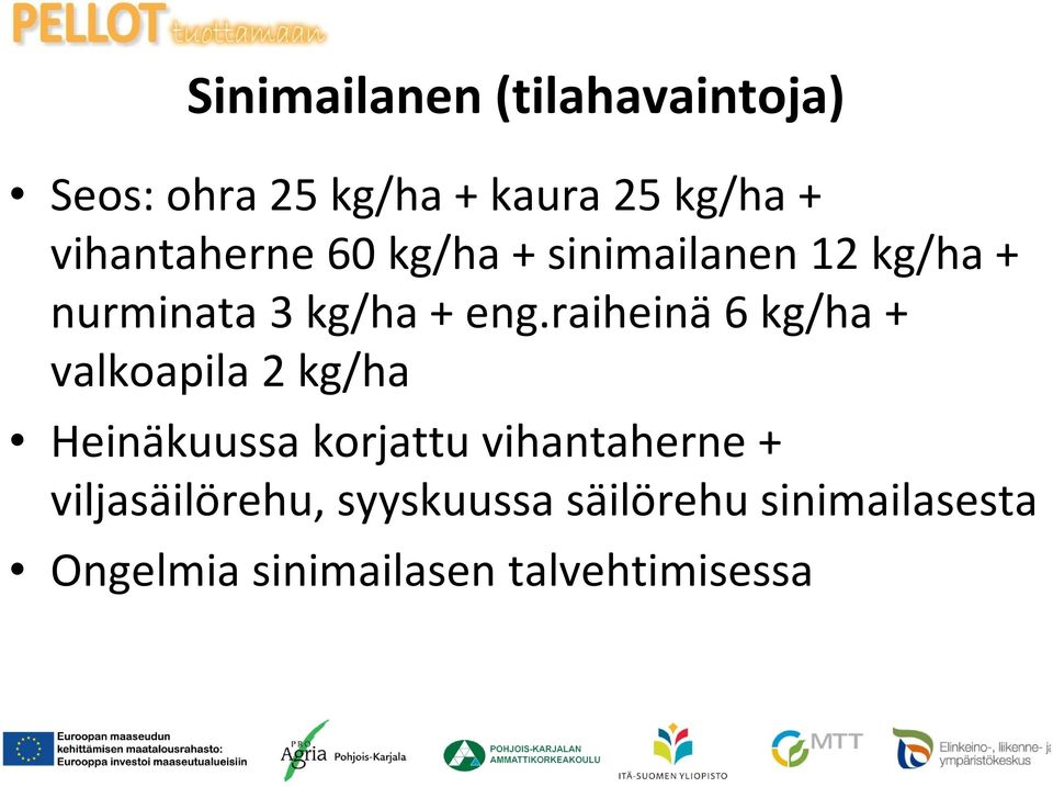 raiheinä 6 kg/ha + valkoapila 2 kg/ha Heinäkuussa korjattu vihantaherne +