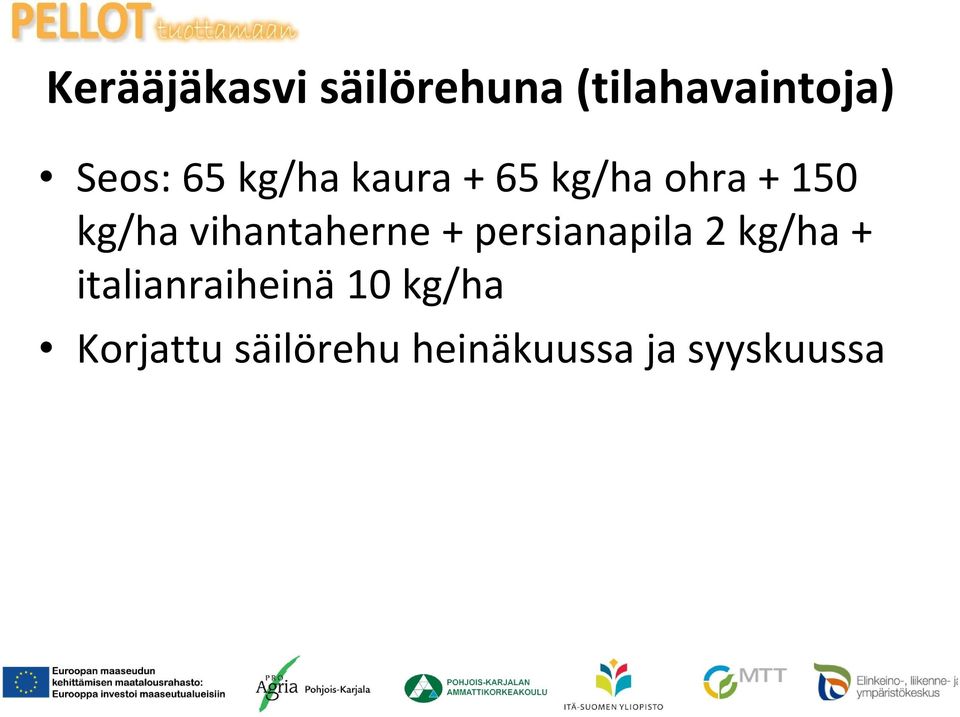 vihantaherne + persianapila 2 kg/ha +