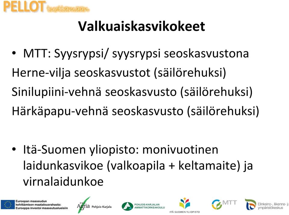 (säilörehuksi) Härkäpapu-vehnä seoskasvusto (säilörehuksi) Itä-Suomen