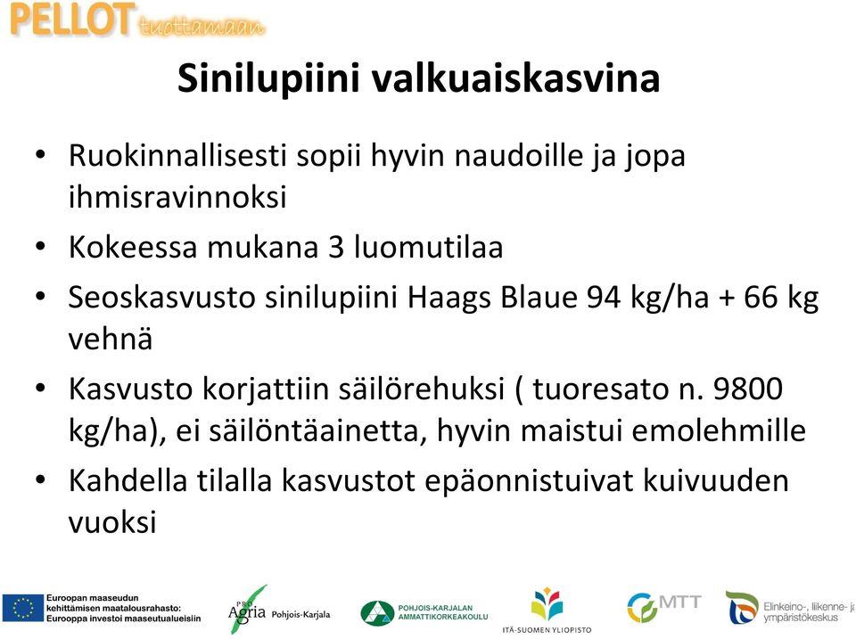 kg/ha + 66 kg vehnä Kasvusto korjattiin säilörehuksi ( tuoresato n.