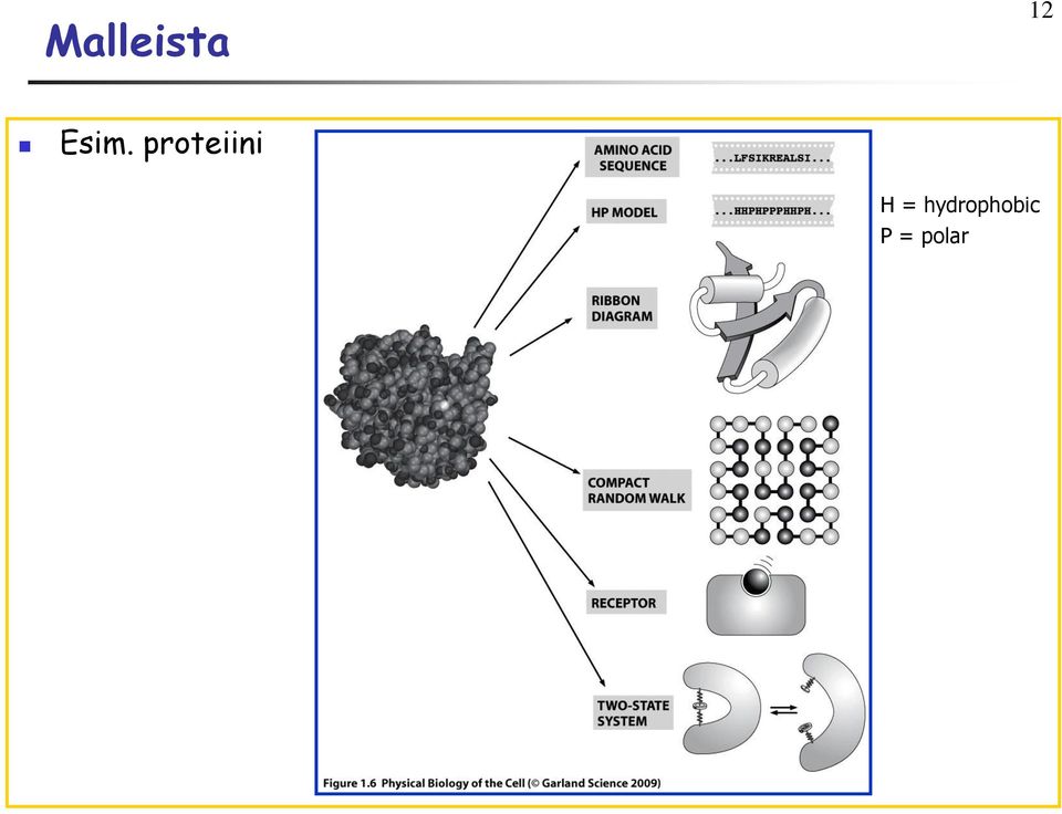 proteiini H =