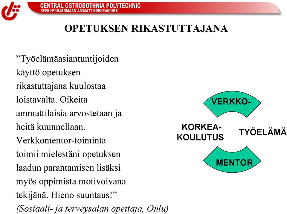 Verkkomentor-toiminta toimii mielestäni opetuksen laadun parantamisen lisäksi myös oppimista