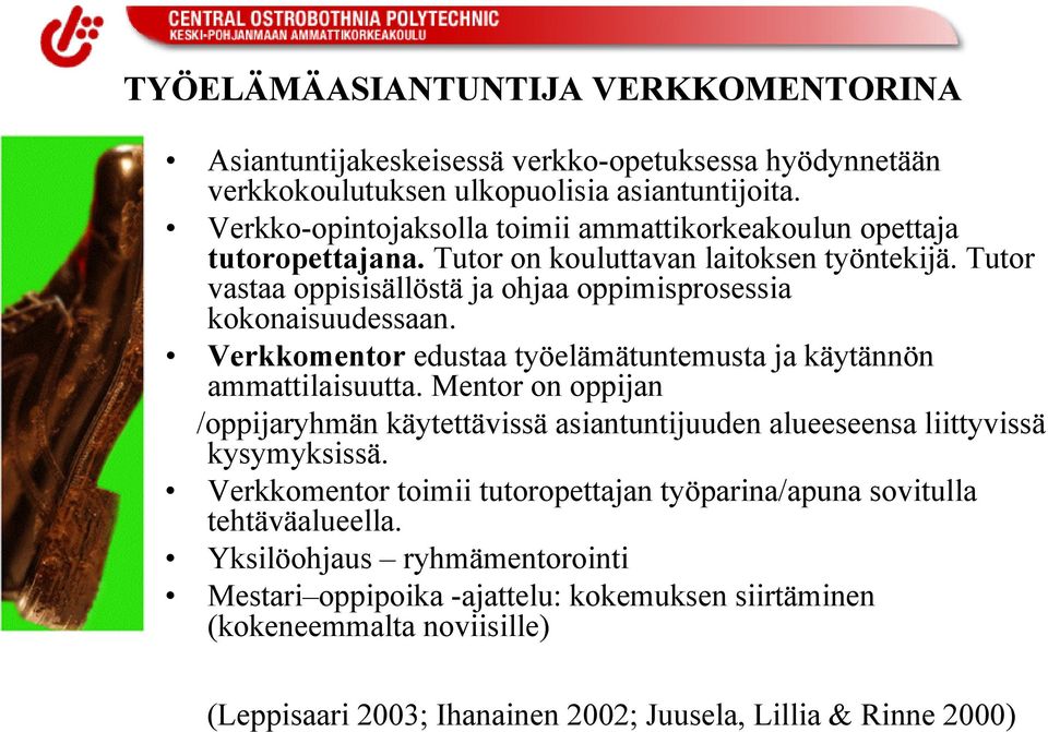 Tutor vastaa oppisisällöstä ja ohjaa oppimisprosessia kokonaisuudessaan. Verkkomentor edustaa työelämätuntemusta ja käytännön ammattilaisuutta.