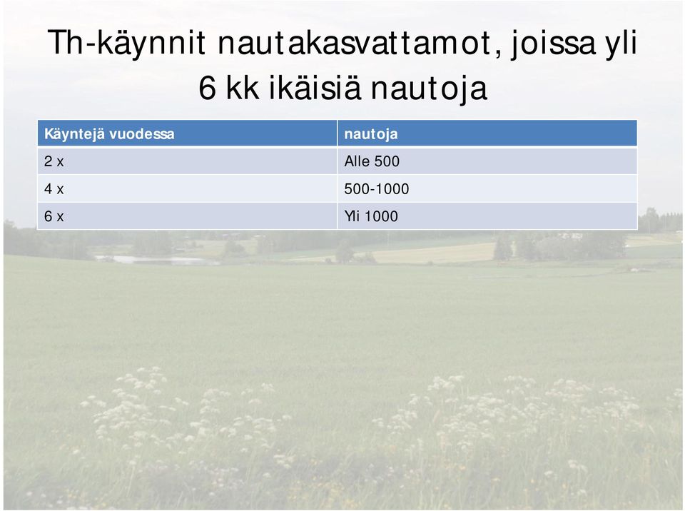 Käyntejä vuodessa nautoja 2 x