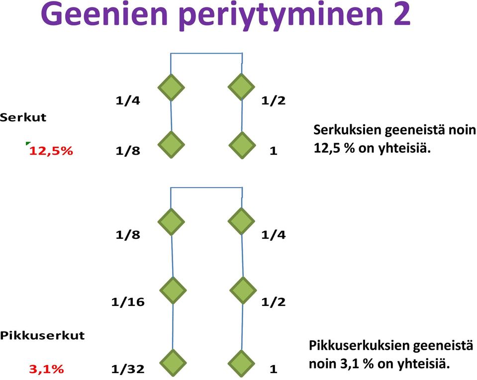 yhteisiä.