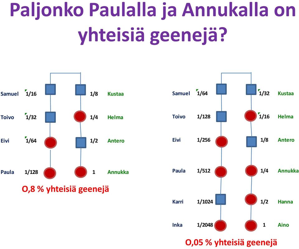 1/16 Helma Eivi 1/64 1/2 Antero Eivi 1/256 1/8 Antero Paula 1/128 1 Annukka O,8 %