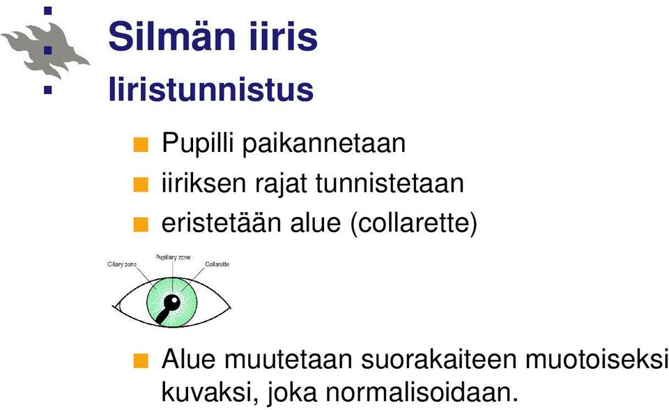 eristetään alue (collarette) Alue muutetaan