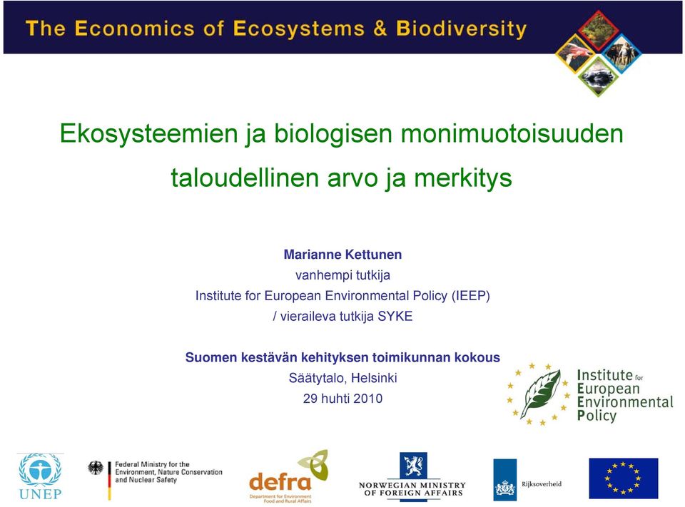 European Environmental Policy (IEEP) / vieraileva tutkija SYKE