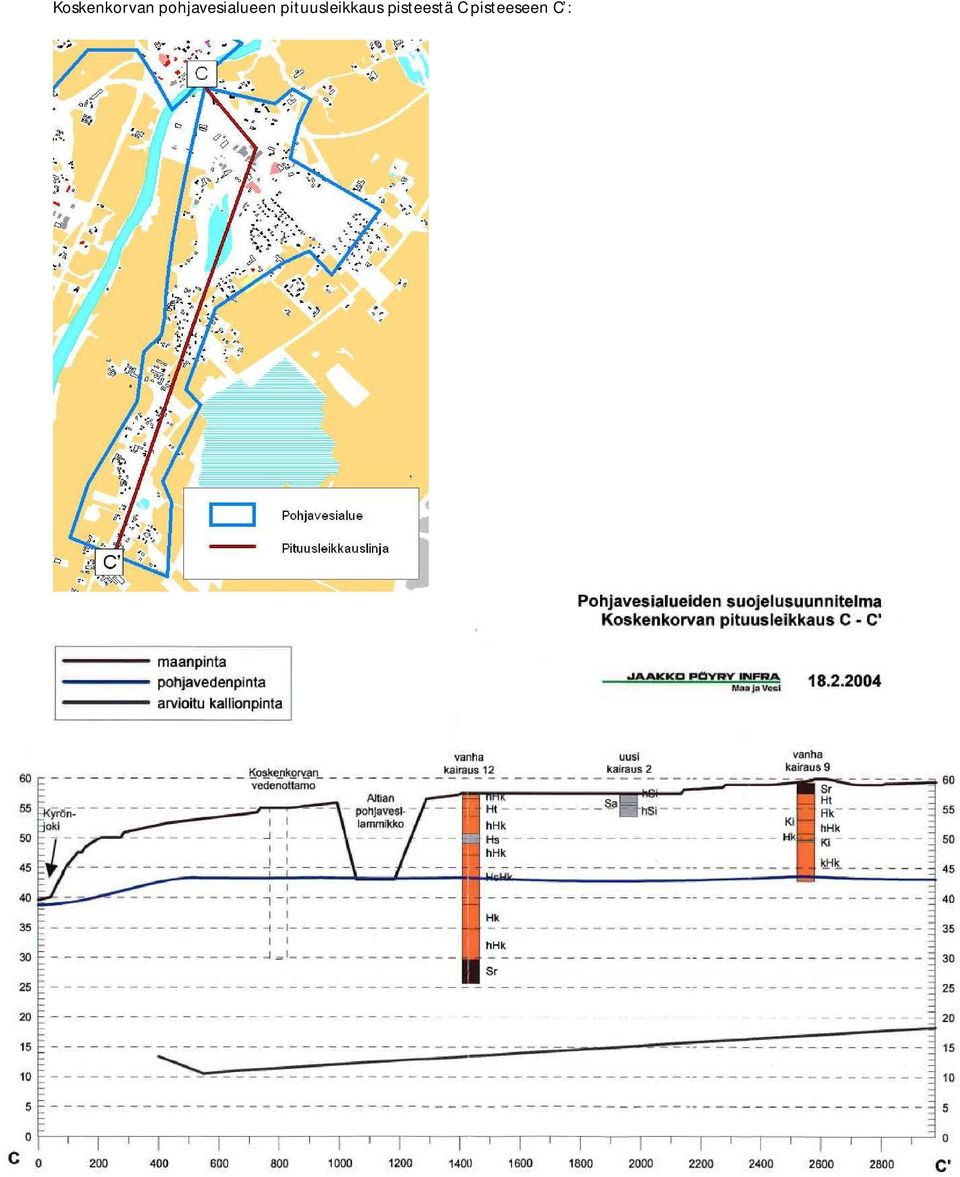 pituusleikkaus