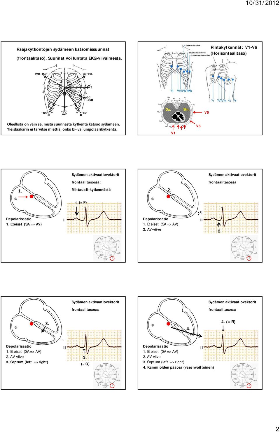 1 Eteiset (SA => AV) 2 AV-viive 2 4 (= R) 1 Eteiset (SA => AV) 2 AV-viive 3 Septum (left => right)