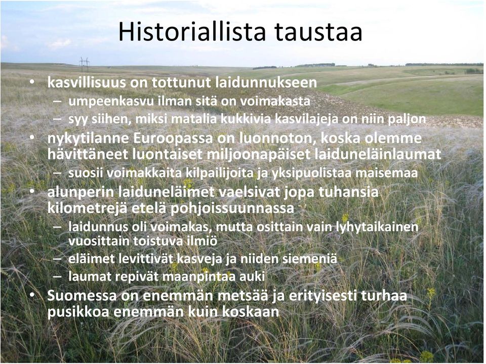 maisemaa alunperin laiduneläimet vaelsivat jopa tuhansia kilometrejä etelä pohjoissuunnassa laidunnus oli voimakas, mutta osittain vain lyhytaikainen vuosittain