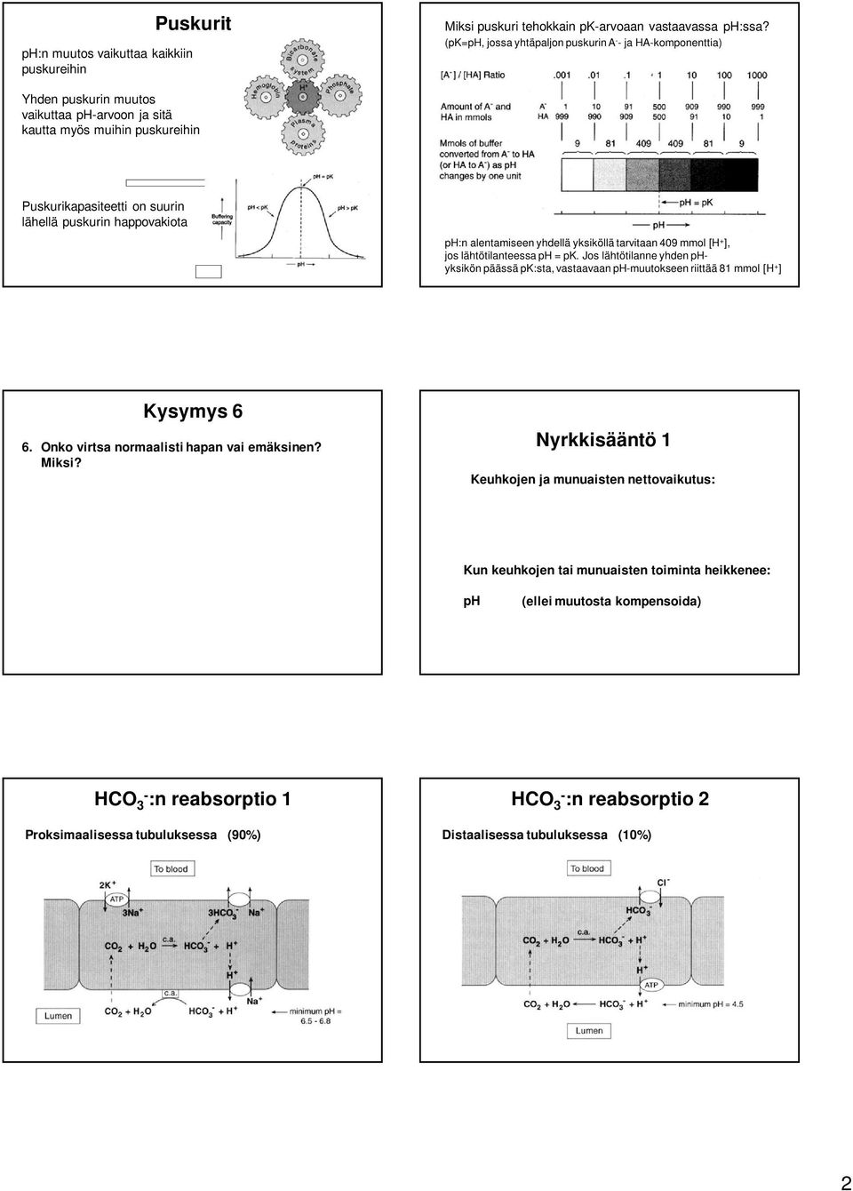 alentamiseen yhdellä yksiköllä tarvitaan 409 mmol [H + ], jos lähtötilanteessa ph = pk. Jos lähtötilanne yhden phyksikön päässä pk:sta, vastaavaan phmuutokseen riittää 81 mmol [H + ] Kysymys 6 6.