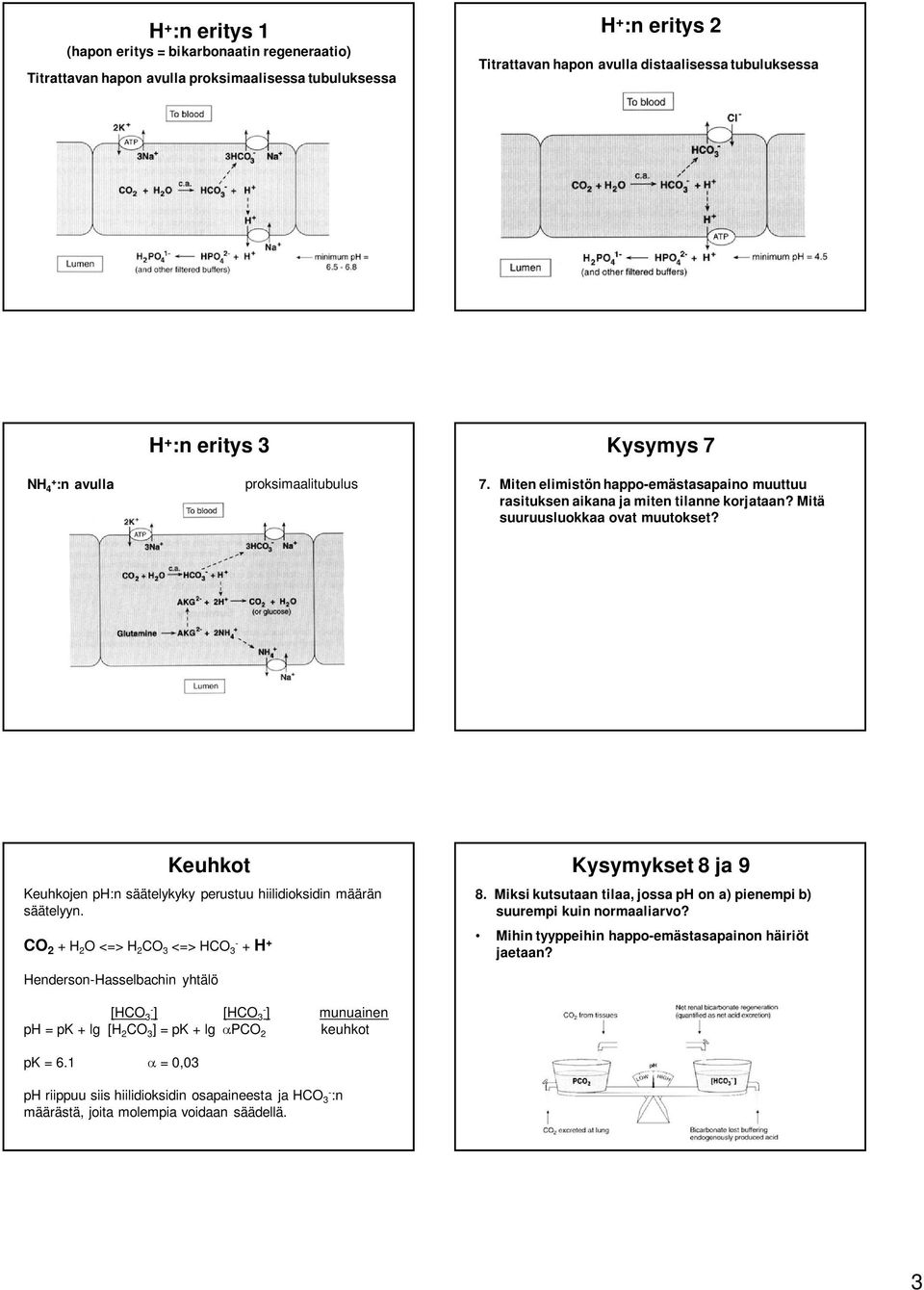 Keuhkot Keuhkojen ph:n säätelykyky perustuu hiilidioksidin määrän säätelyyn. CO 2 + H 2 O <=> H 2 CO 3 <=> HCO 3 + H + HendersonHasselbachin yhtälö Kysymykset 8 ja 9 8.