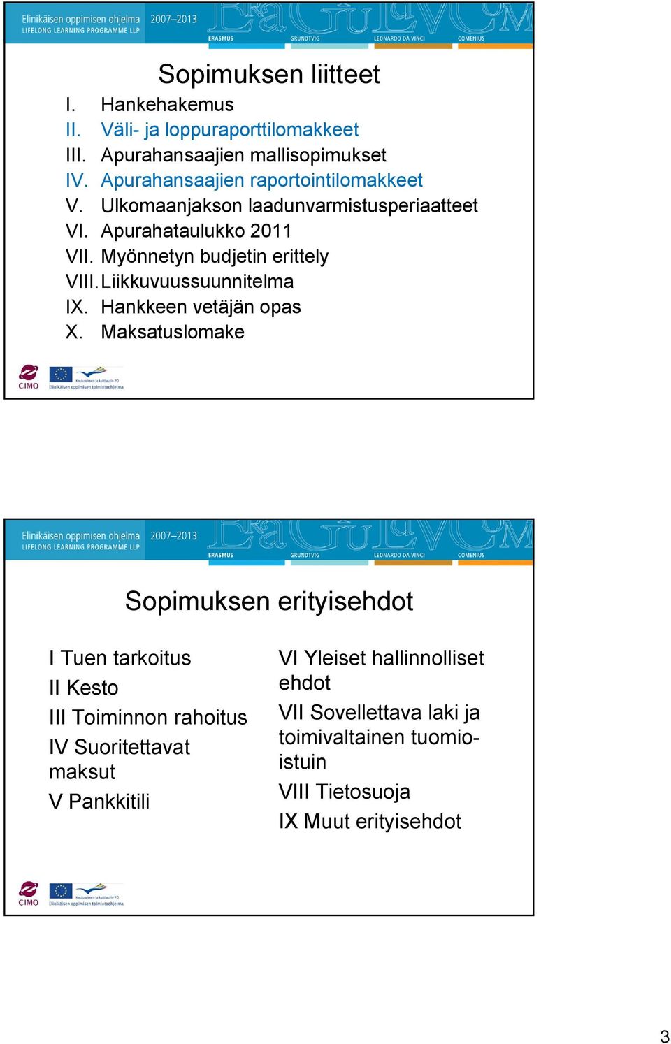 Myönnetyn budjetin erittely VIII.Liikkuvuussuunnitelma IX. Hankkeen vetäjän opas X.