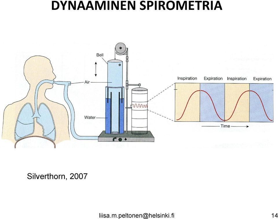 Silverthorn, 2007