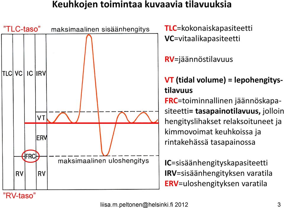 tasapainotilavuus, jolloin hengityslihakset relaksoituneet ja kimmovoimat keuhkoissa ja rintakehässä