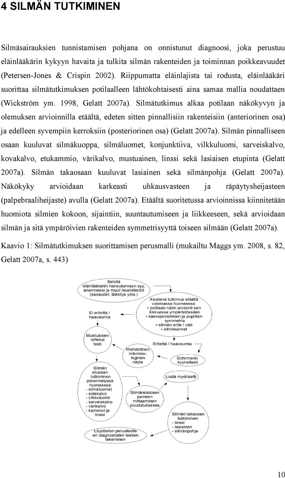 Silmätutkimus alkaa potilaan näkökyvyn ja olemuksen arvioinnilla etäältä, edeten sitten pinnallisiin rakenteisiin (anteriorinen osa) ja edelleen syvempiin kerroksiin (posteriorinen osa) (Gelatt