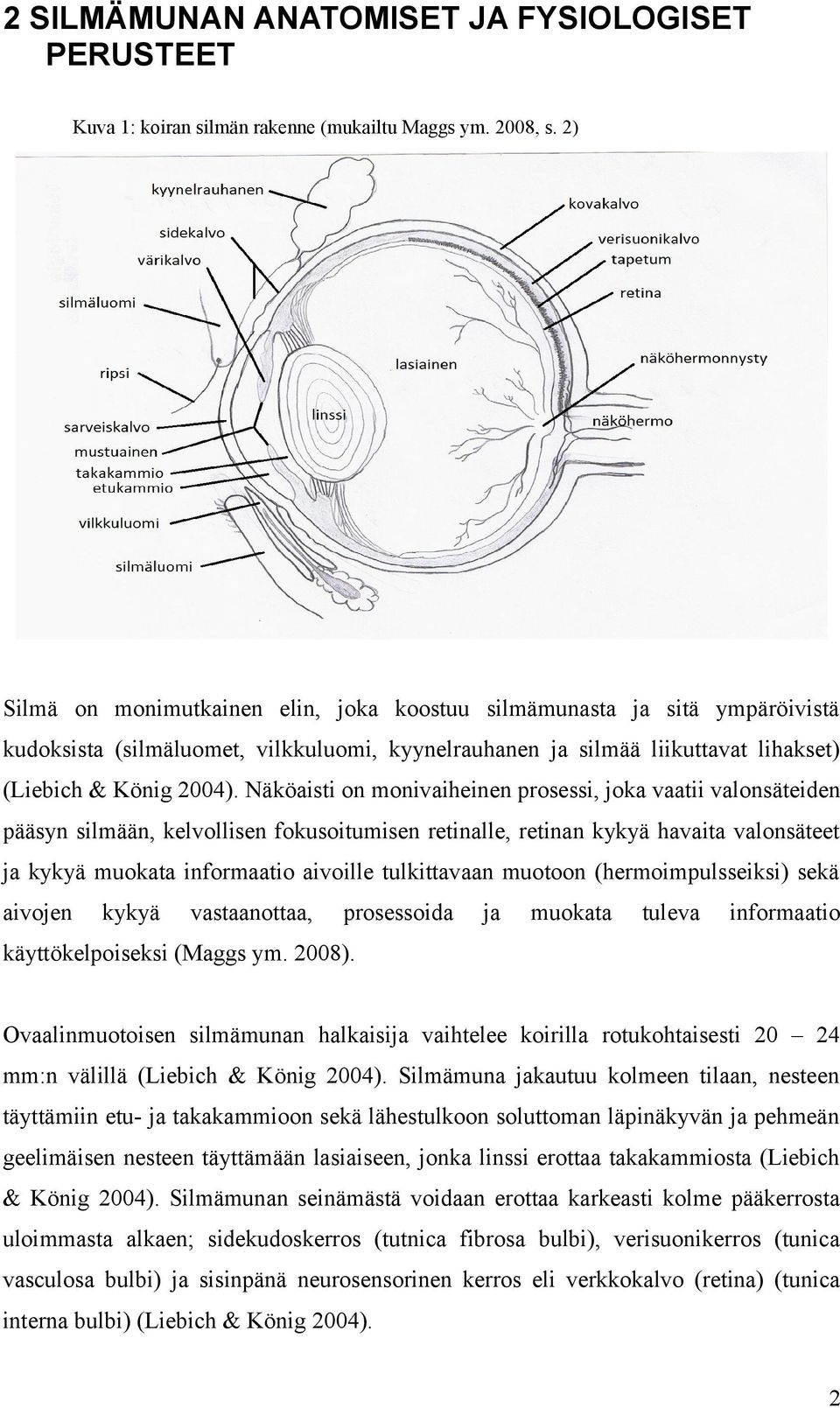 Näköaisti on monivaiheinen prosessi, joka vaatii valonsäteiden pääsyn silmään, kelvollisen fokusoitumisen retinalle, retinan kykyä havaita valonsäteet ja kykyä muokata informaatio aivoille