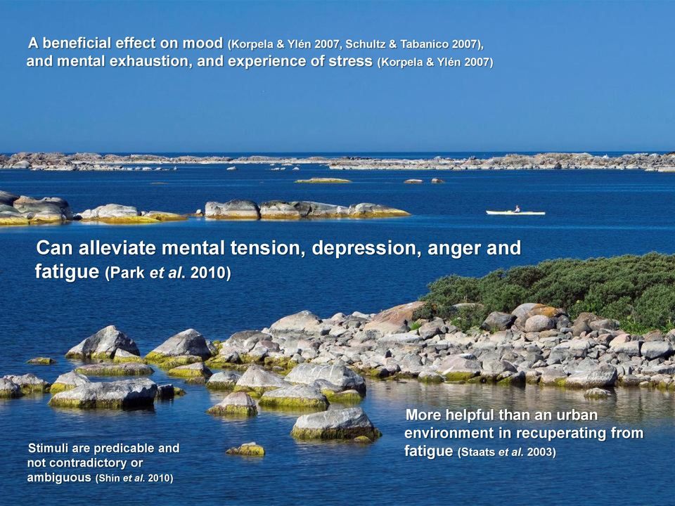 fatigue (Park et al. 2010) Stimuli are predicable and not contradictory or ambiguous (Shin et al.