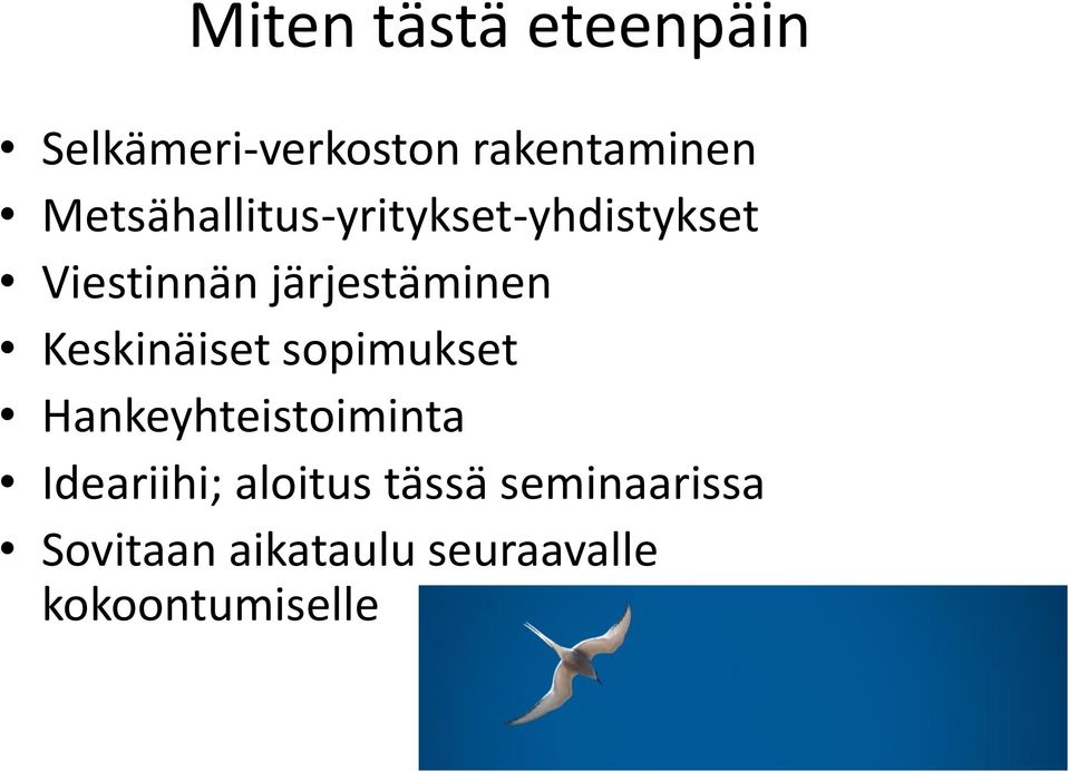 Keskinäiset sopimukset Hankeyhteistoiminta Ideariihi;