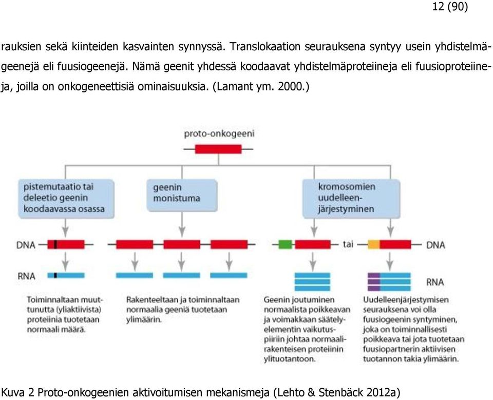 Nämä geenit yhdessä koodaavat yhdistelmäproteiineja eli fuusioproteiineja, joilla on