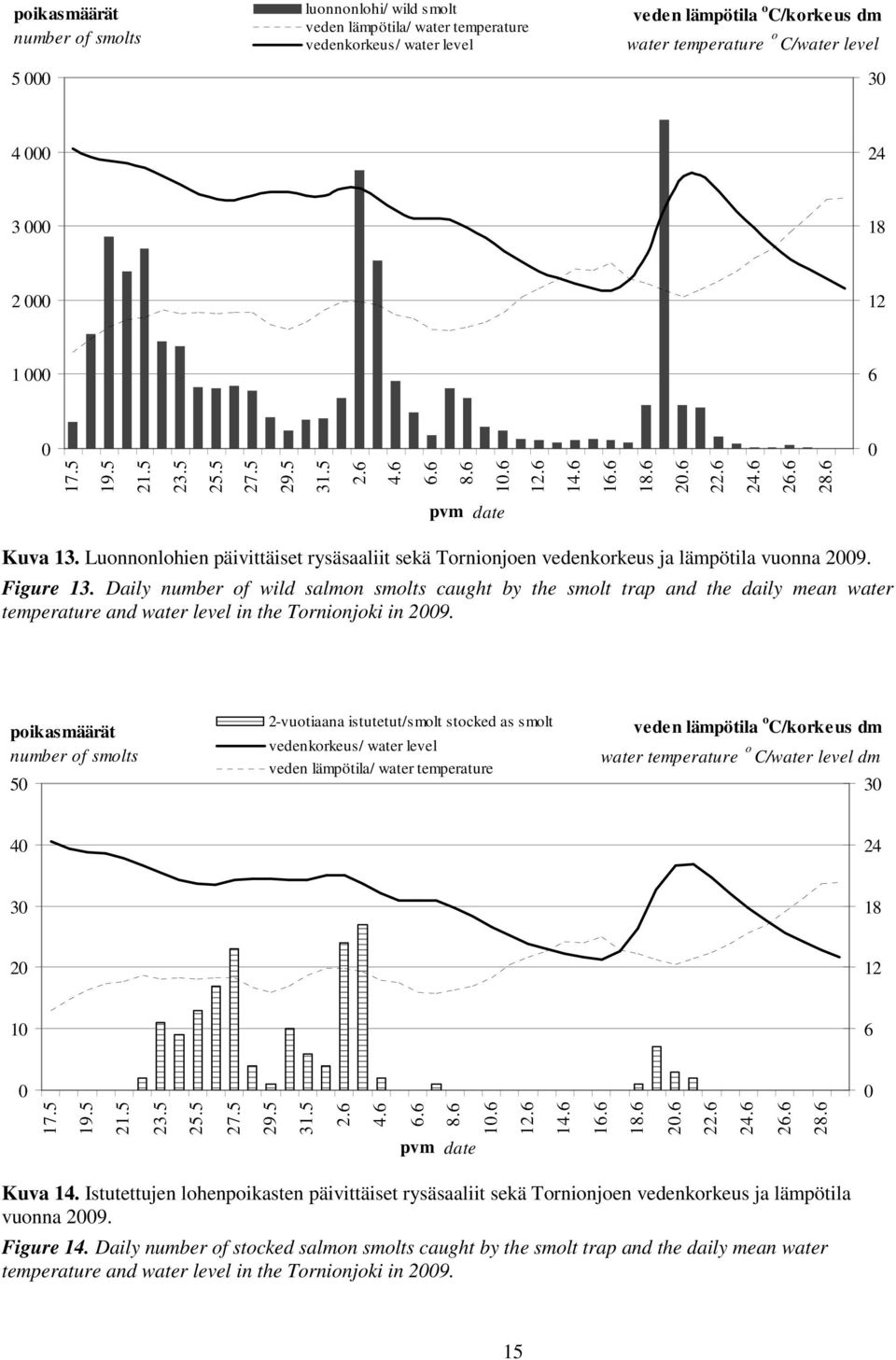 Luonnonlohien päivittäiset rysäsaaliit sekä Tornionjoen vedenkorkeus ja lämpötila vuonna 29. Figure 13.