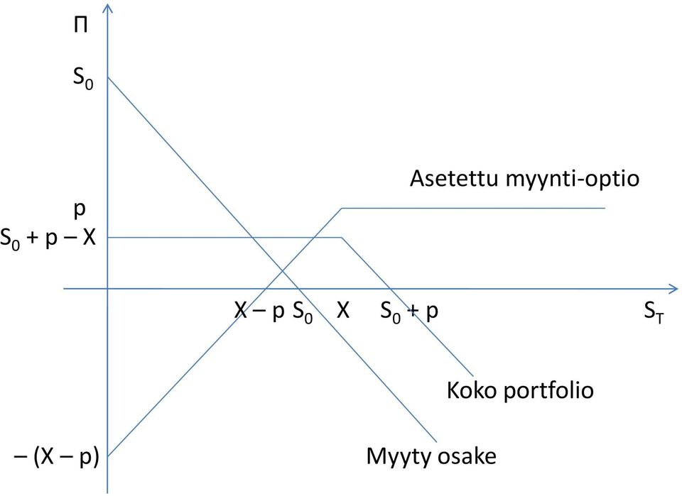 Koko ortfolio