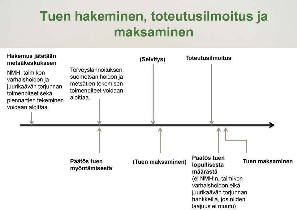 Terveyslannoituksen, suometsän hoidon ja metsätien tekemisen toimenpiteet voidaan aloittaa.