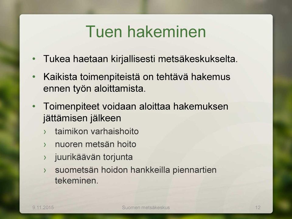 Toimenpiteet voidaan aloittaa hakemuksen jättämisen jälkeen taimikon varhaishoito