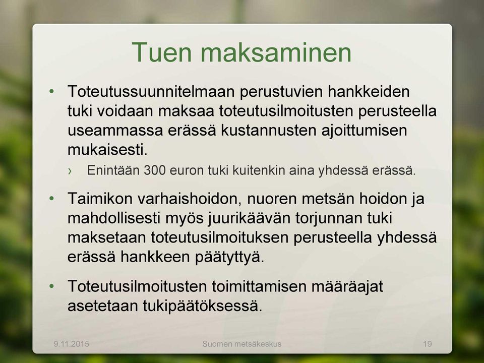 Taimikon varhaishoidon, nuoren metsän hoidon ja mahdollisesti myös juurikäävän torjunnan tuki maksetaan toteutusilmoituksen