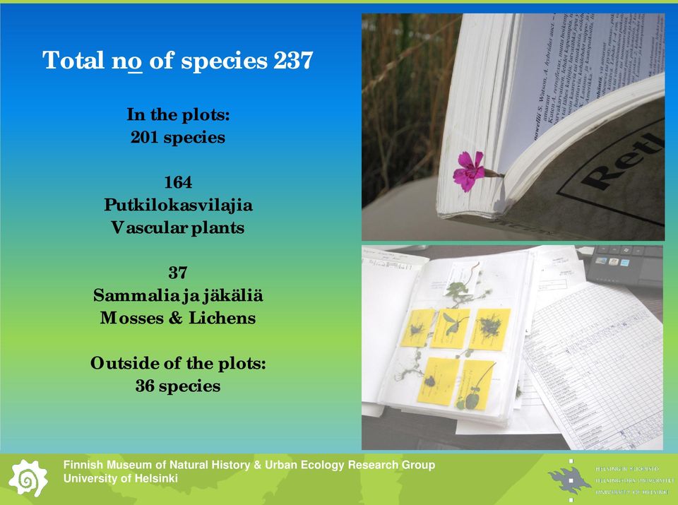 Vascular plants 37 Sammalia ja jäkäliä