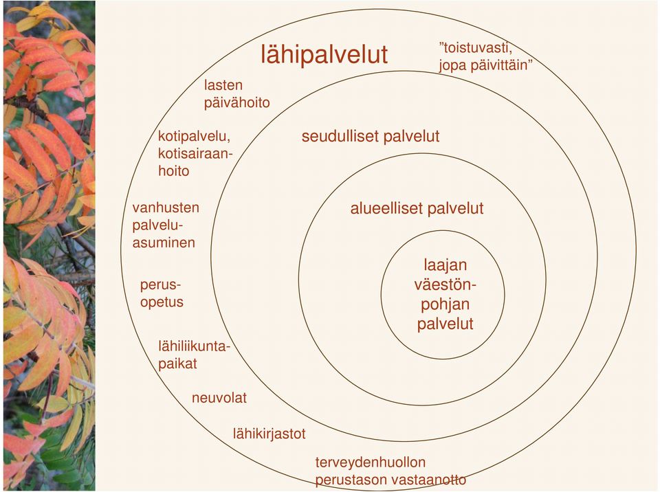 lähiliikuntapaikat seudulliset palvelut alueelliset palvelut laajan