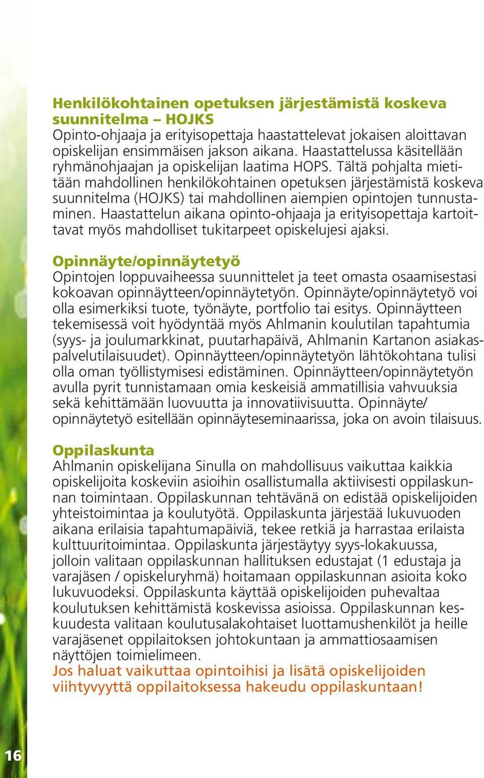 Tältä pohjalta mietitään mahdollinen henkilökohtainen opetuksen järjestämistä koskeva suunnitelma (HOJKS) tai mahdollinen aiempien opintojen tunnustaminen.