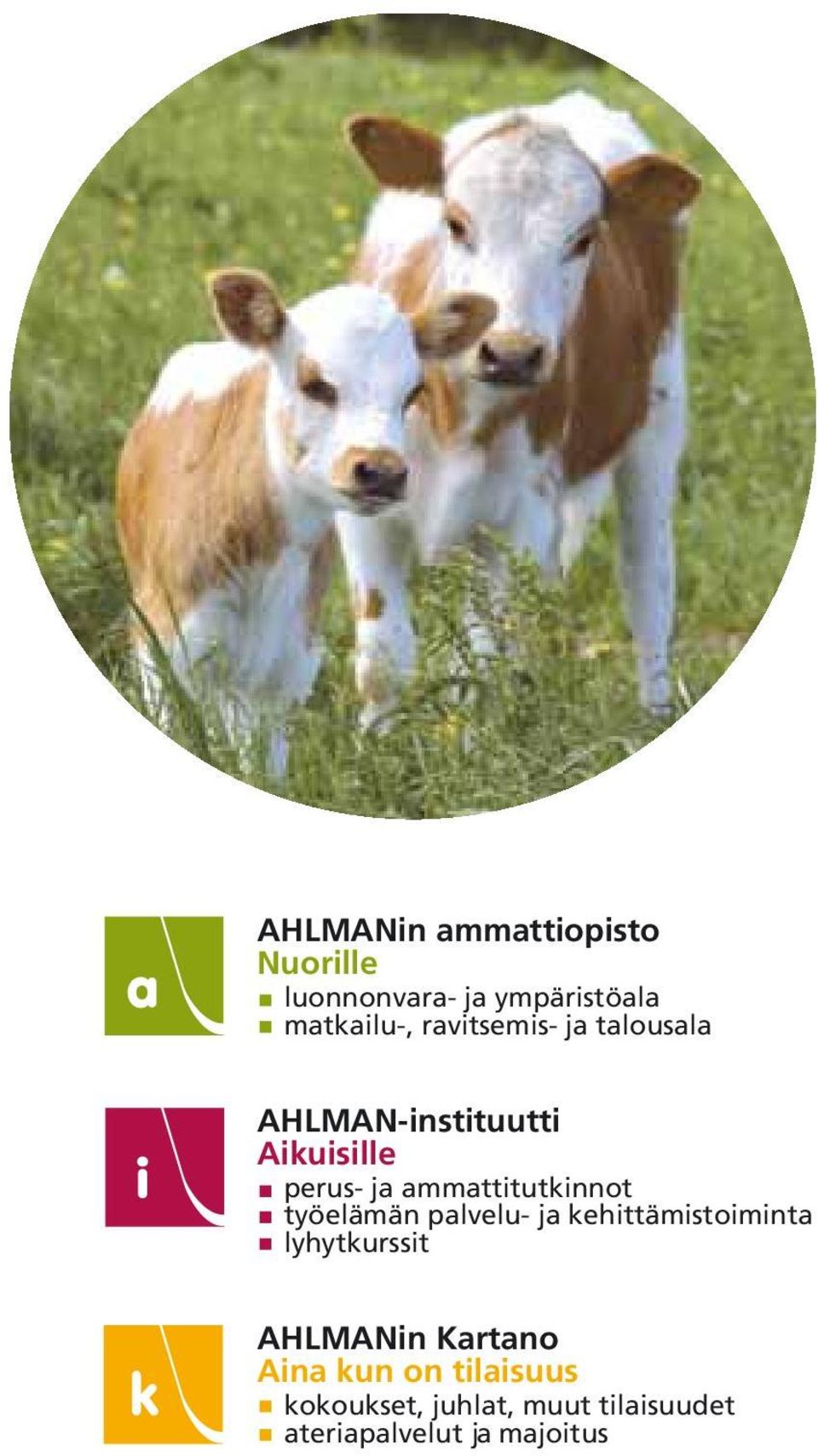 ammattitutkinnot työelämän palvelu- ja kehittämistoiminta lyhytkurssit