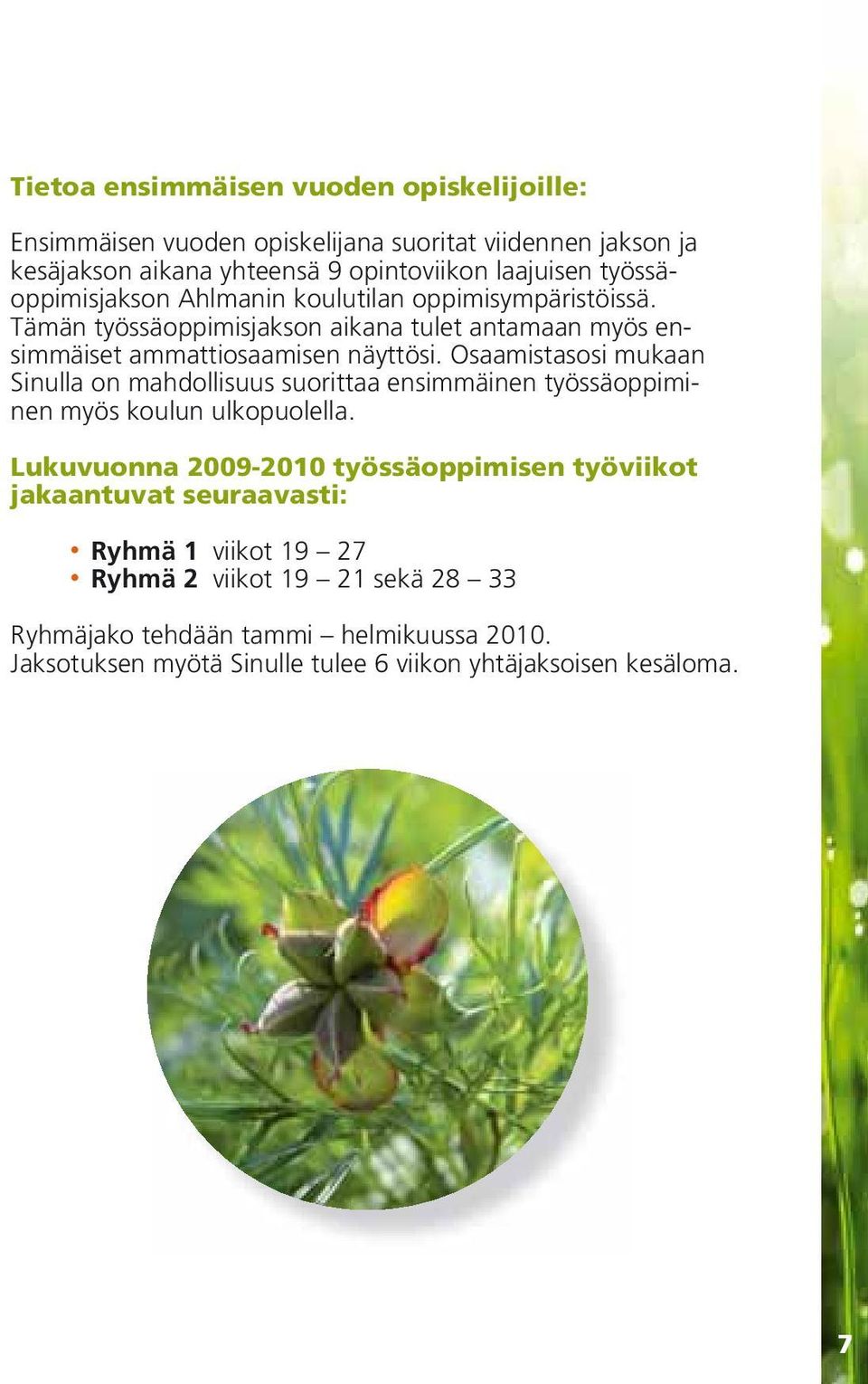 Osaamistasosi mukaan Sinulla on mahdollisuus suorittaa ensimmäinen työssäoppiminen myös koulun ulkopuolella.