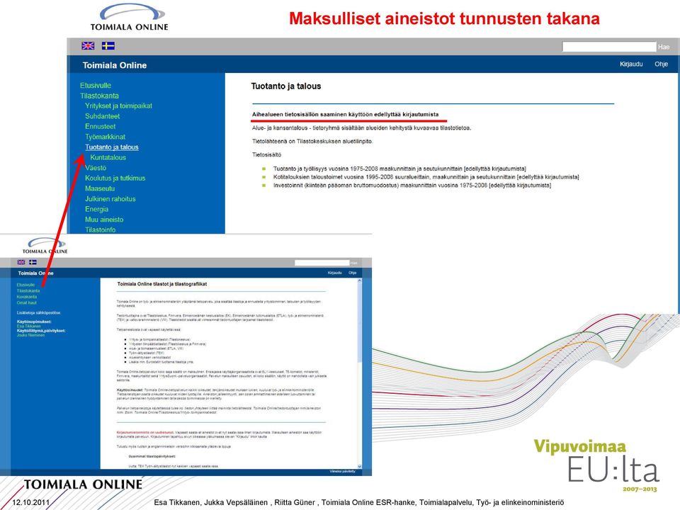 Riitta Güner, Toimiala Online ESR-hanke,