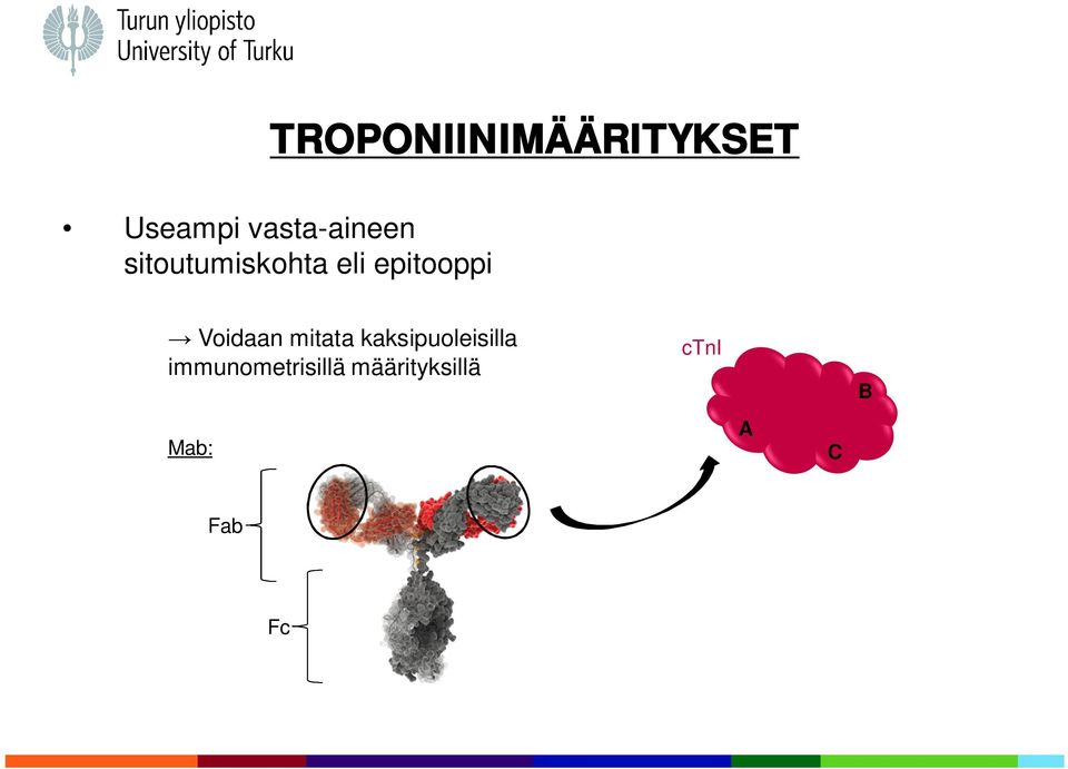 epitooppi Voidaan mitata