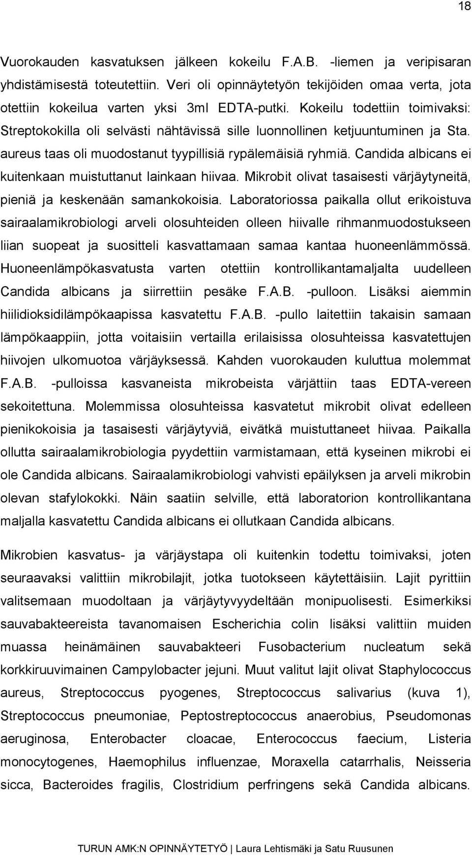 Candida albicans ei kuitenkaan muistuttanut lainkaan hiivaa. Mikrobit olivat tasaisesti värjäytyneitä, pieniä ja keskenään samankokoisia.